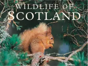 Couverture du produit · Wildlife of Scotland
