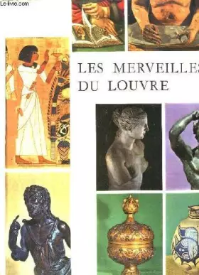 Couverture du produit · LES MERVEILLES DU LOUVRE. TOME 1.