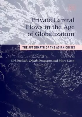 Couverture du produit · Private Capital Flows in the Age of Globalization: The Aftermath of the Asian Crisis