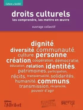Couverture du produit · Droits culturels: Les comprendre, les mettre en oeuvre