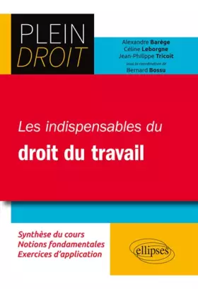 Couverture du produit · Les Indispensables du Droit de Travail