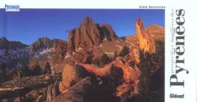 Couverture du produit · Pyrénées : Perspectives singulières