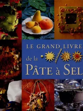 Couverture du produit · Le grand livre de la pâte à sel
