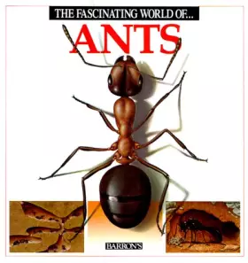 Couverture du produit · The Fascinating World of Ants