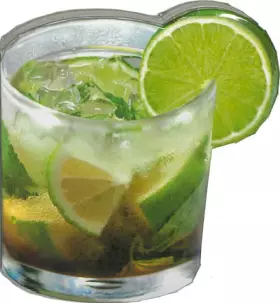 Couverture du produit · LIVRE FORME MOJITO