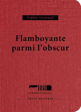 Couverture du produit · Flamboyante parmi l'obscur