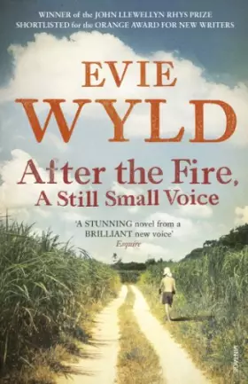 Couverture du produit · After the Fire, A Still Small Voice