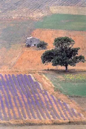 Couverture du produit · Provence