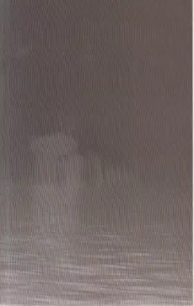 Couverture du produit · The Discovery of Slowness