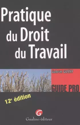 Couverture du produit · Pratique du Droit du Travail
