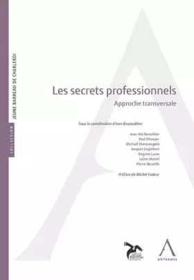Couverture du produit · les secrets professionnels. approche transversale: SOUS LA COORDINATION DE IVAN BOUIOUKLIEV