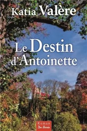Couverture du produit · Destin d Antoinette (le)