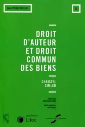 Couverture du produit · Droit d'auteur et droit commun des biens - N°55