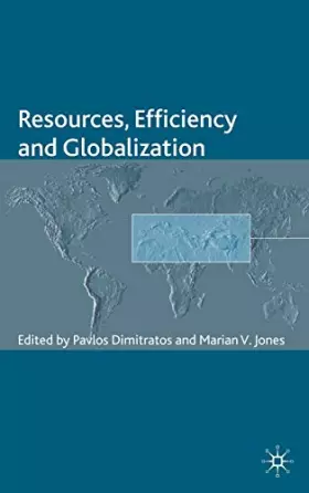 Couverture du produit · Resources, Efficiency and Globalization (The Academy of International Business)