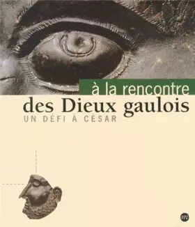 Couverture du produit · A la rencontre des dieux gaulois: Un défi à César
