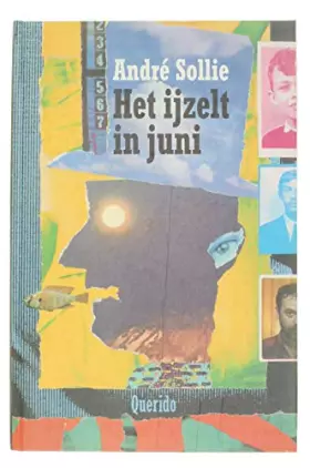 Couverture du produit · Het ijzelt in juni: Gedichten en collages (Dutch Edition)