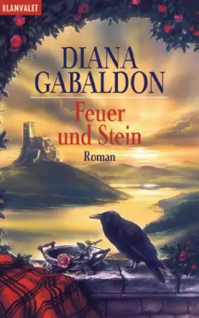 Couverture du produit · Feuer und Stein: Roman