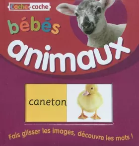 Couverture du produit · Cache-Cache : Bébés Animaux (Eveil)