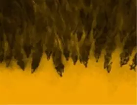 Couverture du produit · Le Joueur de Flûte de Hamelin