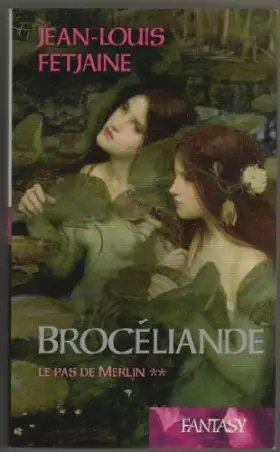 Couverture du produit · Brocéliande -le pas de merlin -2