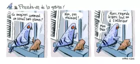 Couverture du produit · Prends-en de la graine, Tchip & Rôôô, drôle d'oiseaux, N°1