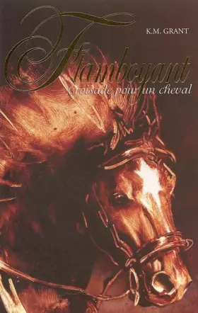 Couverture du produit · Flamboyant, Tome 1 : Croisade pour un cheval