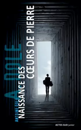 Couverture du produit · Naissance des coeurs de pierre