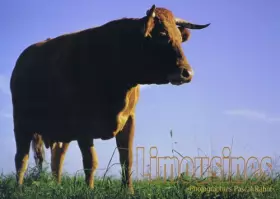 Couverture du produit · Limousines [Broché] by Pascal Rabot