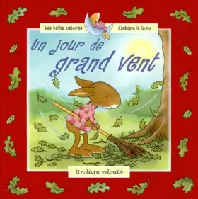 Couverture du produit · Un jour de grand vent