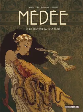 Couverture du produit · Le couteau dans la plaie