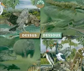 Couverture du produit · Dessus, dessous