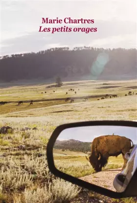 Couverture du produit · Les petits orages