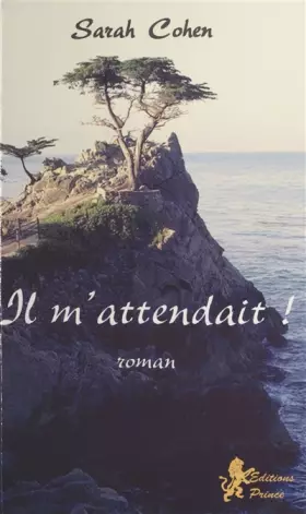 Couverture du produit · Il m'attendait !