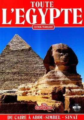 Couverture du produit · Toute l'egypte du caire a abou simbel sinai