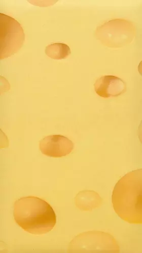 Couverture du produit · Emmental