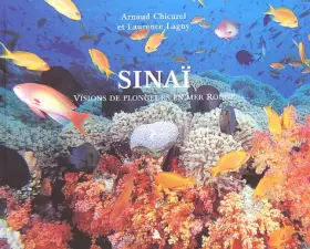 Couverture du produit · Sinaï. Visions de plongeurs en mer Rouge