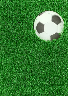 Couverture du produit · Bojos Pel Futbol!