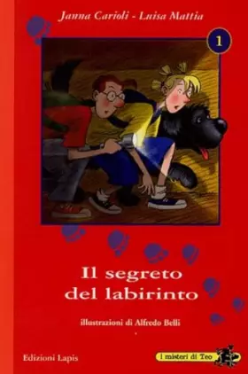 Couverture du produit · Il segreto del labirinto
