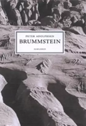 Couverture du produit · Brummstein (in Danish)
