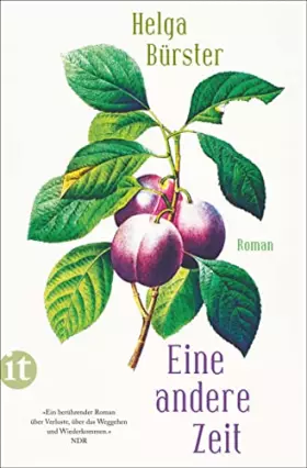 Couverture du produit · Eine andere Zeit: Roman | Die berührende Geschichte zweier Schwestern nach der Wende (insel taschenbuch)