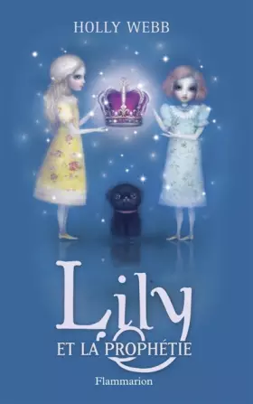 Couverture du produit · Lily et la prophétie