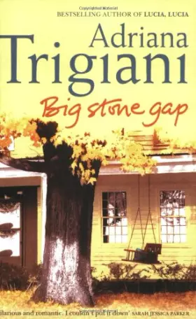Couverture du produit · Big Stone Gap: A Novel (Big Stone Gap Saga 1)