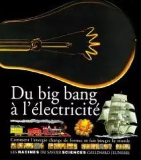 Couverture du produit · Du big bang à l'électricité : Comment l'énergie change de formes et fait bouger le monde
