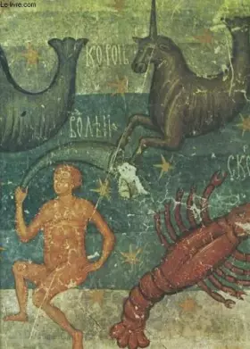 Couverture du produit · DIE WANDMALEREI IN DER MOLDAU