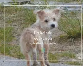Couverture du produit · La balade de Nelson