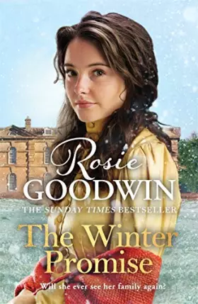 Couverture du produit · The Winter Promise (Precious Stones)