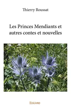 Couverture du produit · Les princes mendiants et autres contes et nouvelles