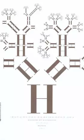Couverture du produit · Histoire et historiens en France depuis 1945