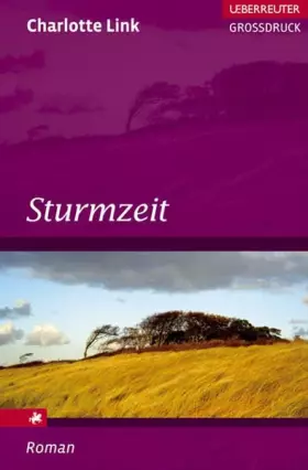 Couverture du produit · Sturmzeit (Ueberreuter Grossdruck)