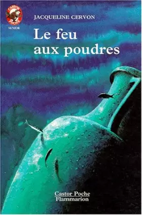 Couverture du produit · Le feu aux poudres